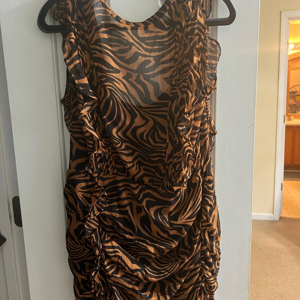 Express Dress - Picture 6 of 8